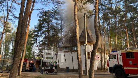 Воронежцы сняли на видео пожар в «Доме сказок» в парке «Дельфин»