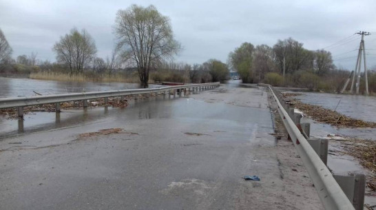 Движение по Ступинскому мосту под Воронежем возобновили