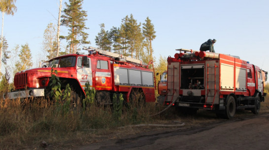 Ландшафтный пожар подобрался к 2 дачным поселкам под Воронежем