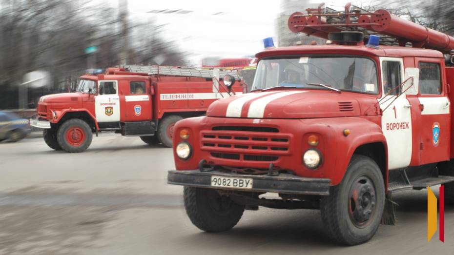 В селе Бабяково под Воронежем спасатели тушат крупный пожар