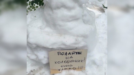 «Подайте на холодильник!»: в Воронеже заметили снеговиков во время жары