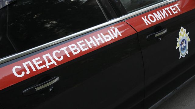 Полиция и СК ищут в Воронеже педофила из парка «Дельфин»