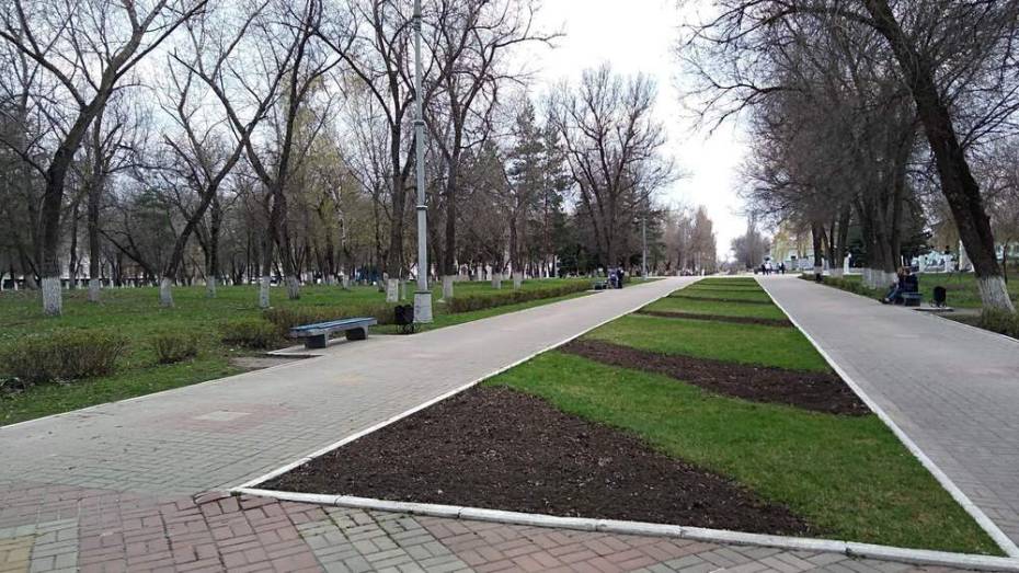 На благоустройство парка в Павловске потратят 22,5 млн рублей