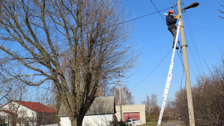 В Ольховатском районе на модернизацию уличного освещения потратят около 4 млн рублей