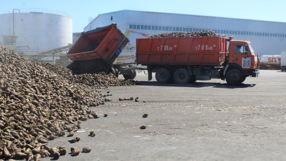 С территории ольховатского комбината украли 380 кг сахара