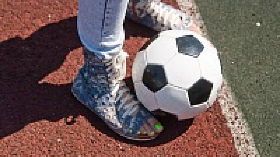 Искусственное покрытие футбольного поля для спортшколы в Воронежской области профинансирует федбюджет