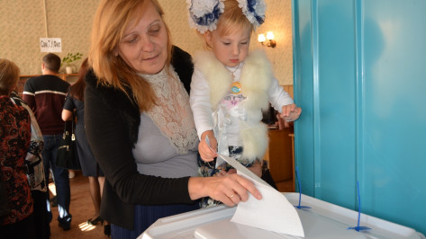 В Богучарском районе явка на выборы губернатора превысила 84%