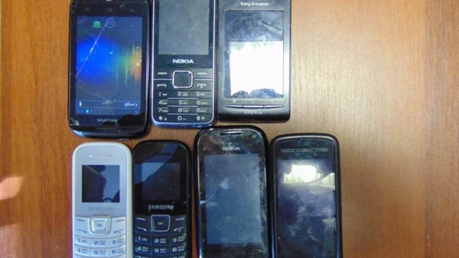 В Воронежской области мужчина попытался перебросить в колонию 7 телефонов