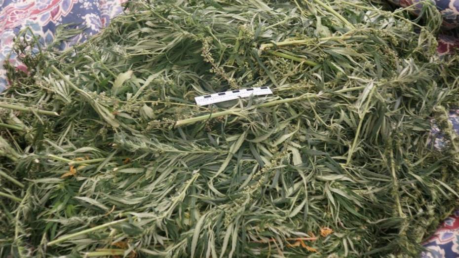 Жителя Воронежской области поймали на продаже марихуаны