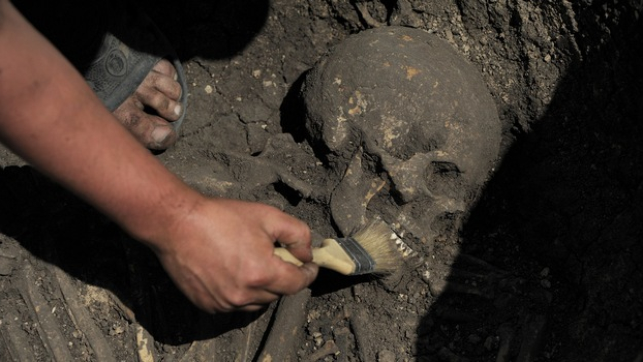 На никелевом месторождении в Новохоперском районе обнаружили захоронение древних иранцев