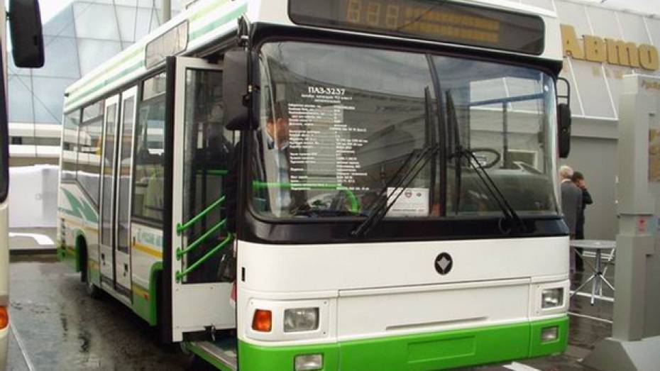 В Борисоглебске появились два новых автобусных маршрута