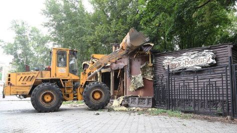 Воронежский парк «Орленок» оставили без «Джека Воробья» 