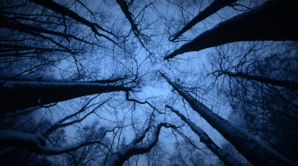 В Воронежской области пропавшую 18-летнюю самбистку из Ямного нашли мертвой