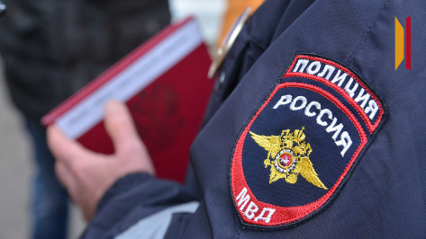 В Воронежской области пьяная женщина ударила госавтоинспектора и угрожала ему