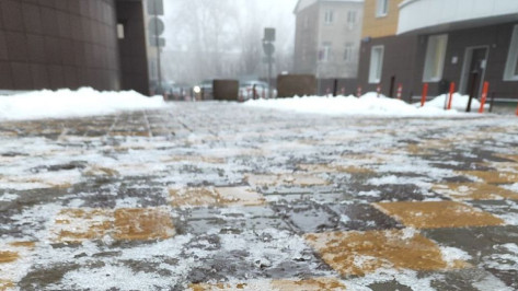 Гололед и заморозки ожидаются в Воронежской области перед выходными