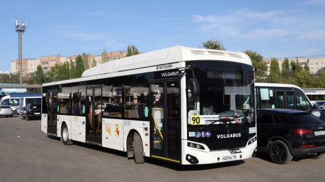 Новые большие автобусы вышли на маршрут №90 в Воронеже