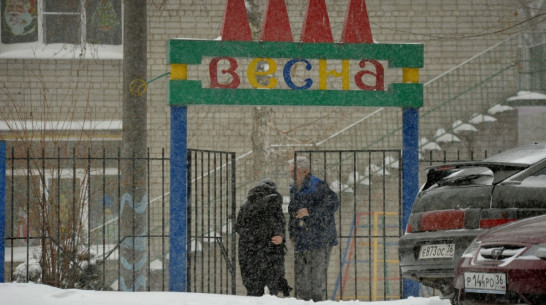 Выходные в Воронеже ознаменуются мокрым снегопадом