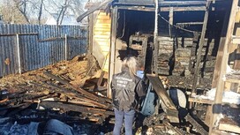 Гибель 2-летнего младенца в пожаре под Воронежем привела к уголовному делу