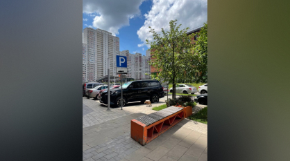 Воронежцы из жилого массива Олимпийский заметили во дворе лисенка
