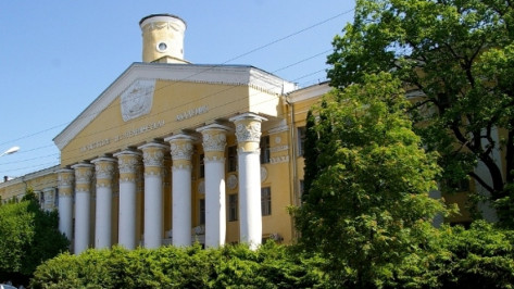 Ректоры воронежских вузов отчитались о доходах за 2017 год
