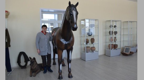 Музей под открытым небом со стоянкой кочевников появится в Петропавловке