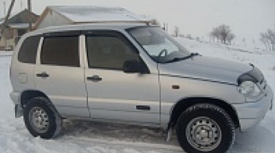 В Острогожском районе безработный насмерть сбил иностранца