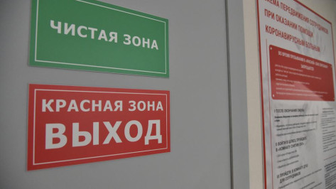 Наибольшее число заболевших коронавирусом выявили в 7 районах Воронежской области