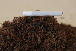 У пенсионера из Воронежской области изъяли 16 тыс пачек контрафактных сигарет