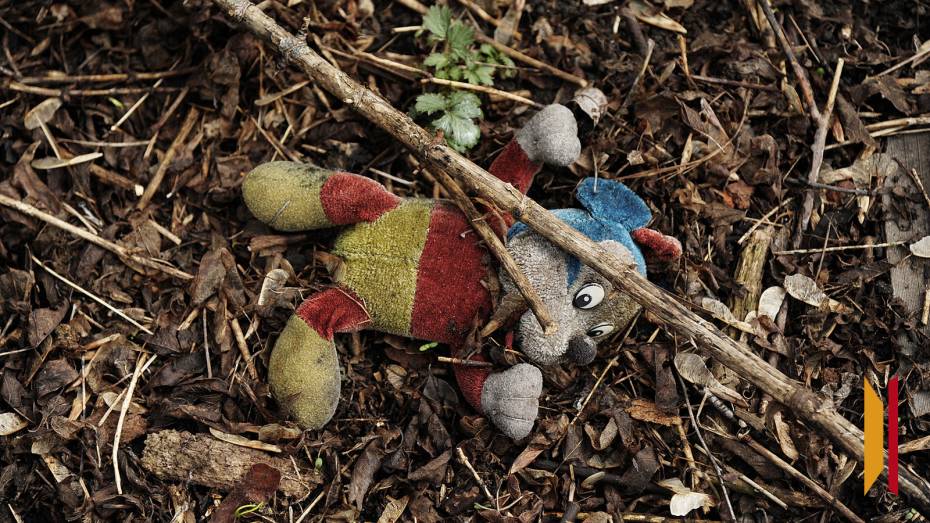 Глава СК запросил доклад по делу об избиении матерью годовалого ребенка в Воронеже