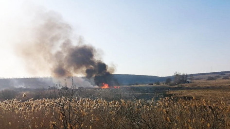 В Бутурлиновском районе при сжигании сухой травы пострадала 80-летняя пенсионерка