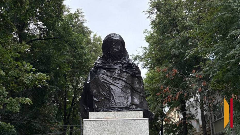 В Воронеже памятник Сергею Есенину закрыли для очистки и снятия слепка