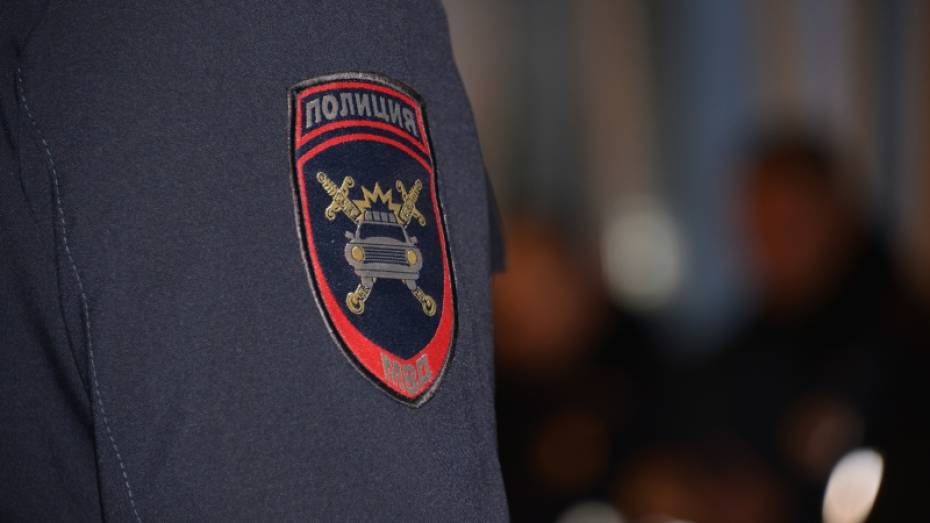 В Воронежской области пьяный водитель предложил полицейскому взятку