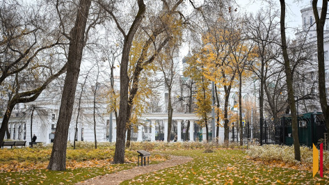 Итоги недели. Что важного произошло в Воронежской области с 29 сентября по 5 октября