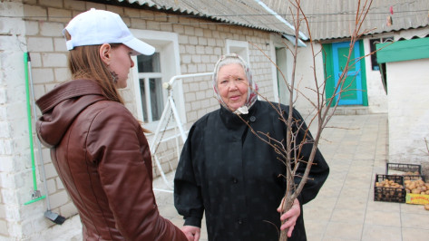 Новоусманские журналисты подарили местной жительнице липу