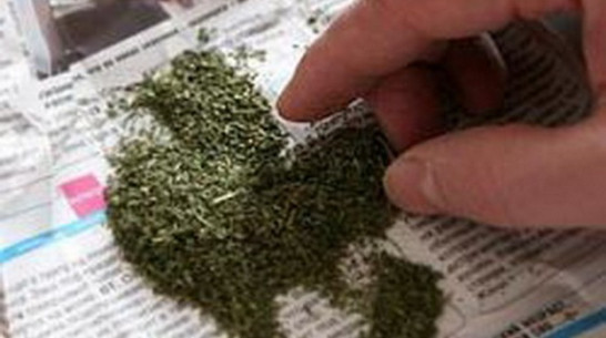 В Богучарском районе инспекторы ДПС поймали пешехода с пакетом марихуаны