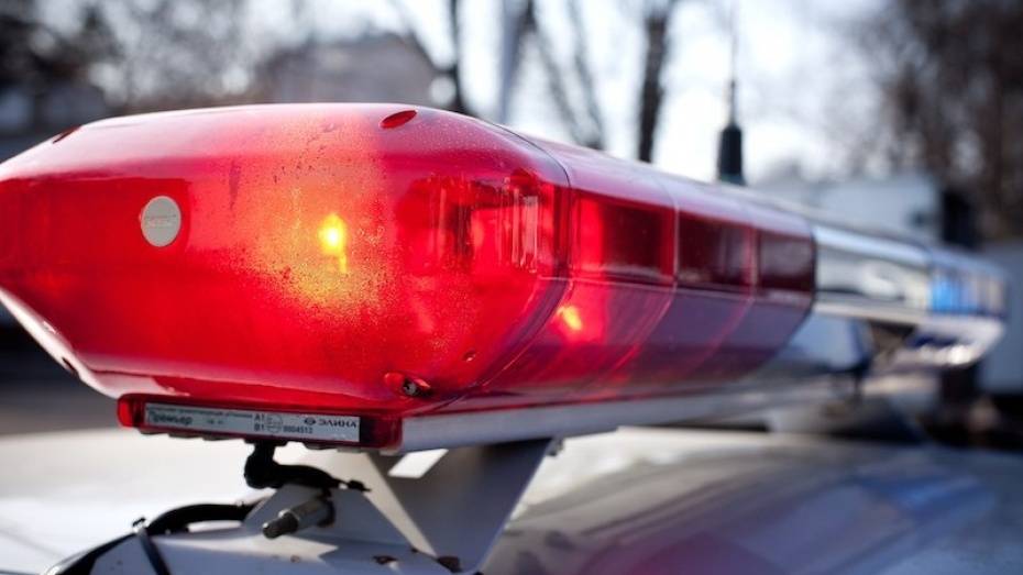 На воронежской трассе иномарка влетела в фуру: 2 взрослых погибли, 2 детей пострадали