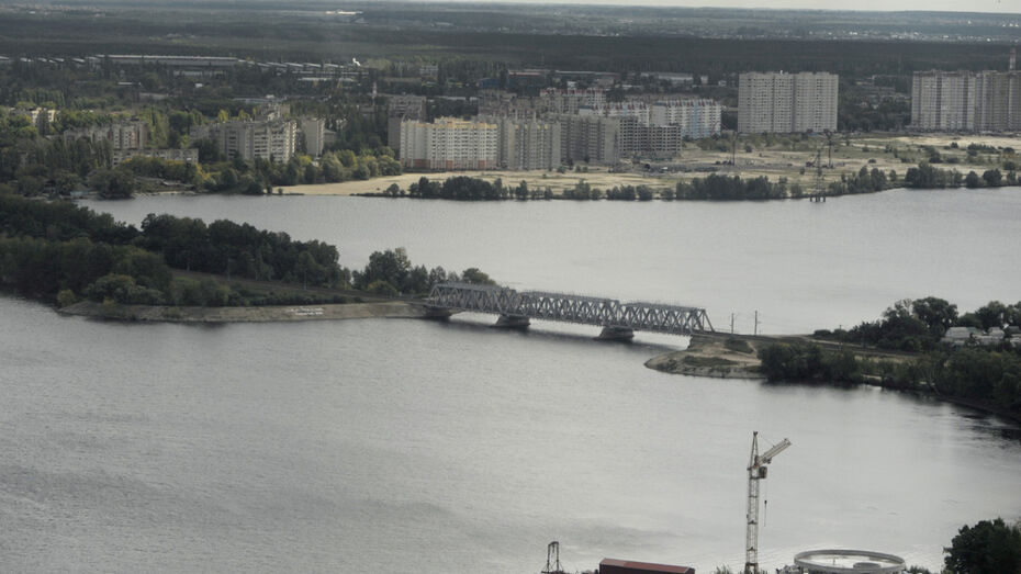 Реферат: Экология Воронежского водохранилища