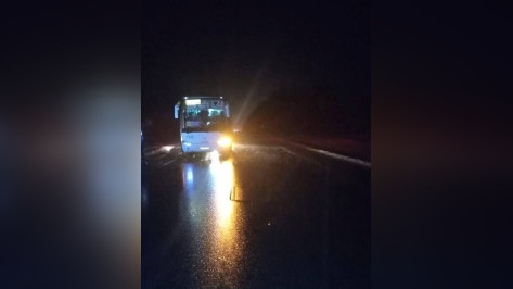 Рейсовый автобус насмерть сбил 50-летнего пешехода в Воронежской области