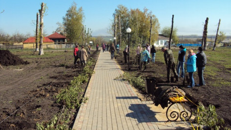 В ходе экологического субботника жители Хохольского района посадили 400 деревьев