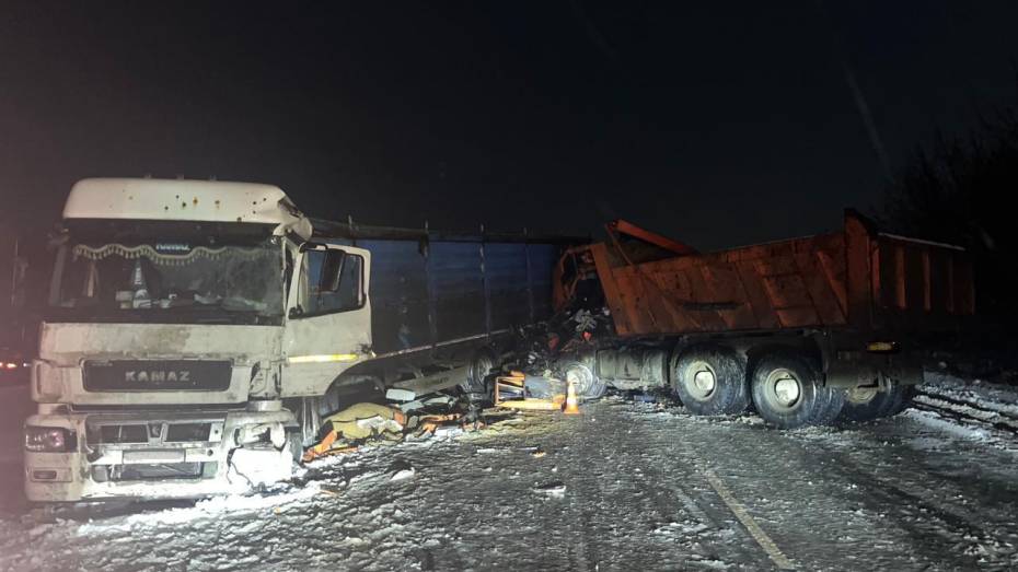 Два КамАЗа попали в страшную аварию в Воронежской области: есть пострадавший