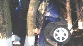 Вчера в Воронежской области случилось 145 ДТП