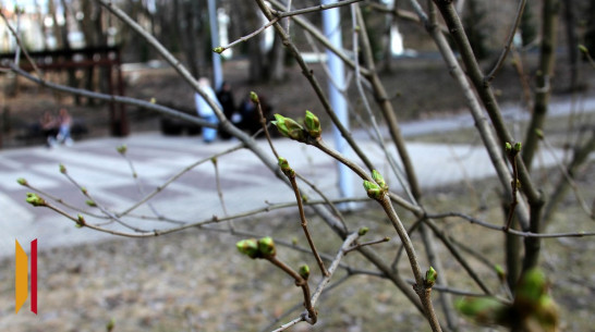 Большие суточные перепады температуры ожидаются в Воронежской области