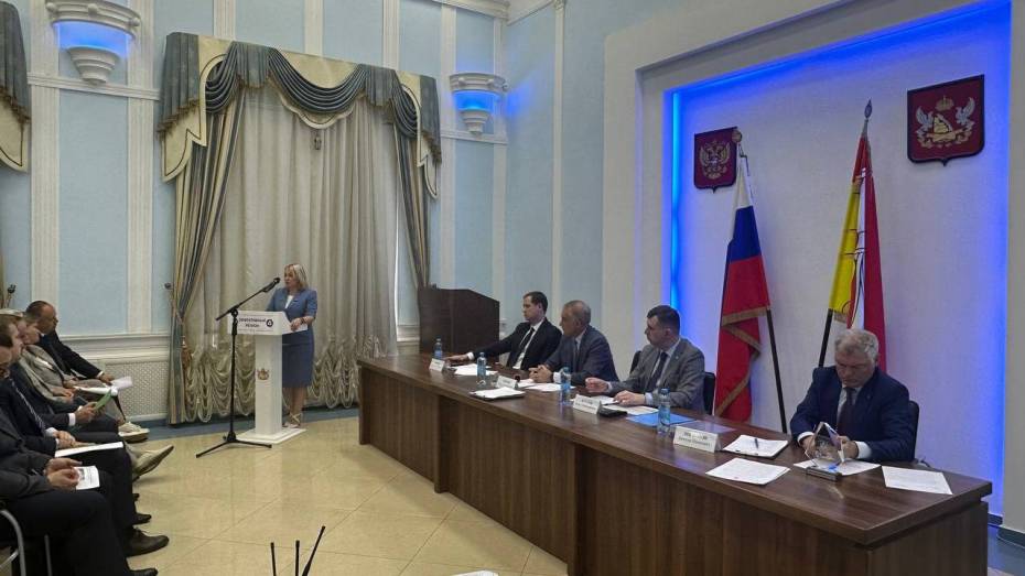 «Для удобства граждан»: в Воронеже обсудили реализацию проекта «Эффективный регион»