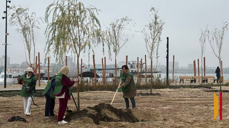 В Воронеже началось благоустройство сквера Предпринимателей на Петровской набережной