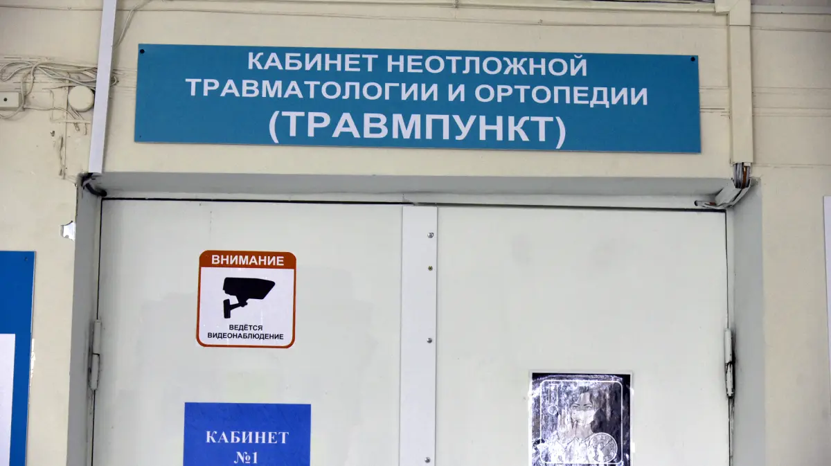 Агрессивные собаки за сутки покусали 2 человек в Центральном районе Воронежа