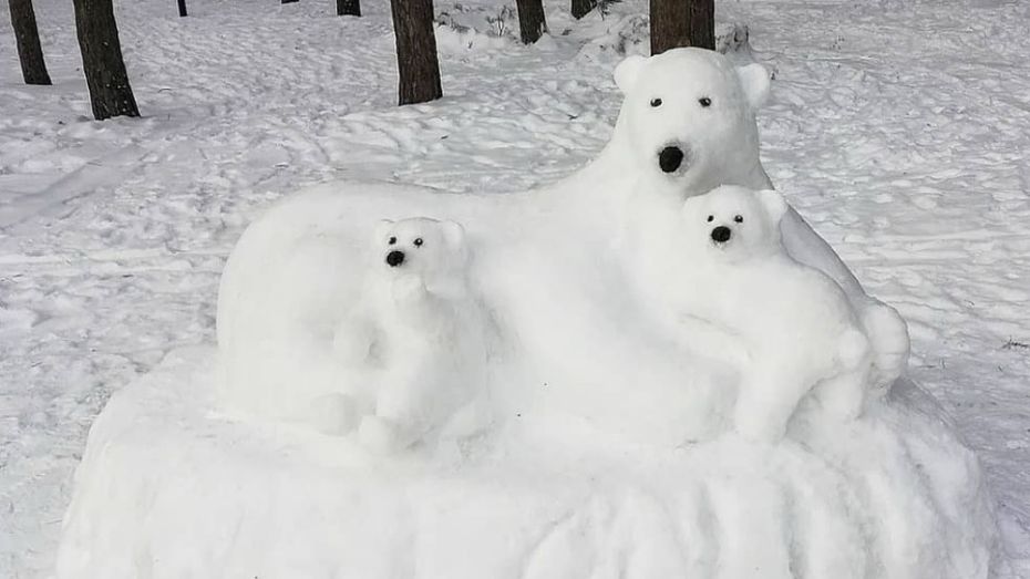 Семья снежных медведей поселилась в воронежском парке