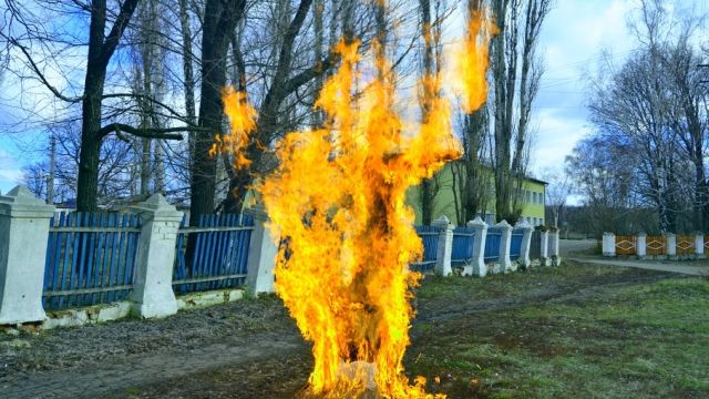 Старт особого противопожарного режима перенесли для большей части Воронежской области