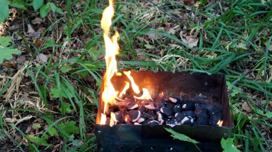 В Ольховатском районе семья развела костер с помощью бензина: ребенок получил ожоги 