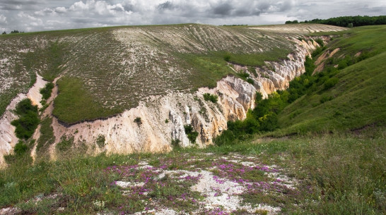 Художники исследуют культурный ландшафт воронежского Дивногорья