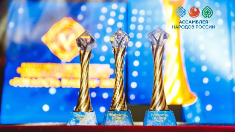 Воронежцев приглашают принять участие в межрегиональном этапе премии «Гордость нации – 2025»